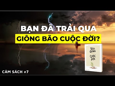 Bạn Đã Trải Qua mấy lần Giông Bão Cuộc Đời | Sách #7 Bão Giông Mới Là Cuộc Đời
