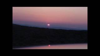 beth orton/william orbit- water from a vine leaf