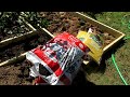How to Collect & Grow Garlic & Onion Seeds