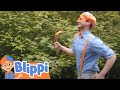 LOOPED SONG Get Up Get Active Song Blippi Sings Kids Songs Sing A Long Toddlers Learning