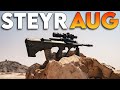 Steyr Aug:  Two Men Discuss, One Gets Burned