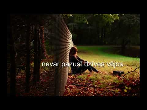 Mr.SCHLAGER - Tā kas dzīvo sirdī