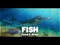 Fish Feed And Grow Soundtrack Boss Theme
