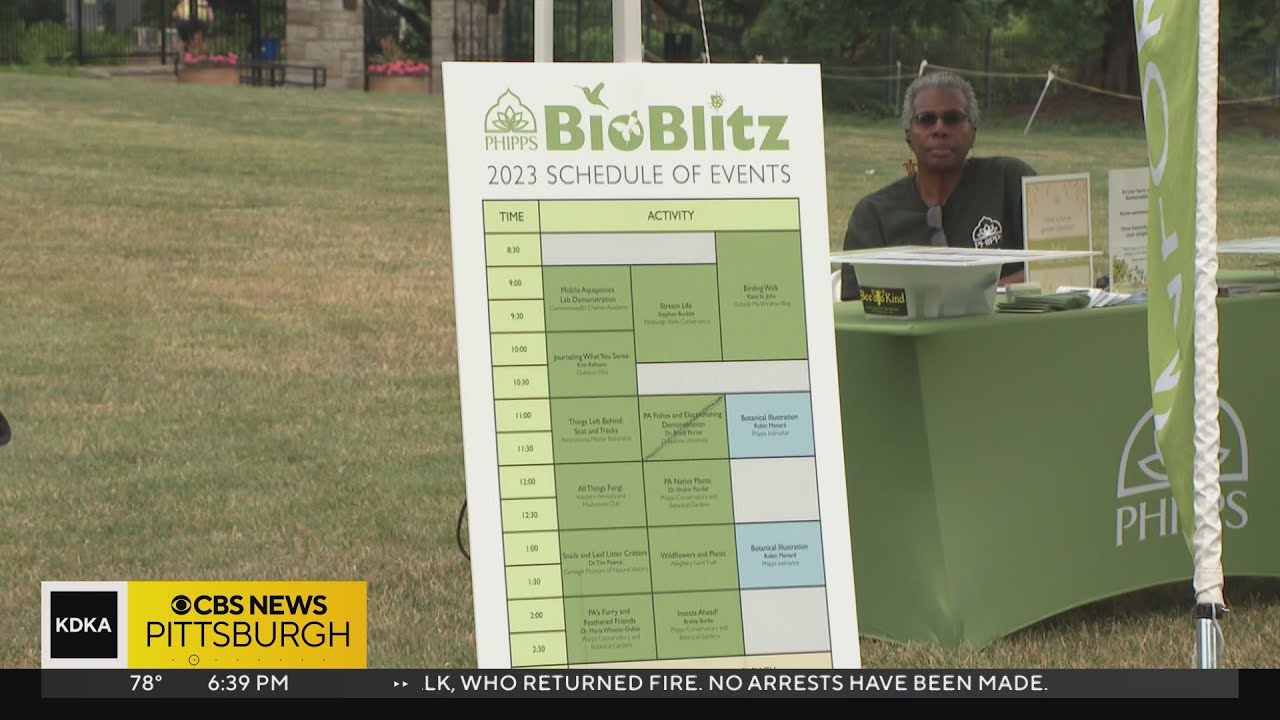 BioBlitz Family Fun Festival takes place at Schenley Park