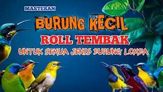 Download lagu 2 jam masteran  BURCIL ROLL TEMBAK untuk semua jenis burung lomba di jamin MENYALA!! mp3 Download lagu 2 jam masteran  BURCIL ROLL TEMBAK untuk semua jenis burung lomba di jamin MENYALA!! mp3
