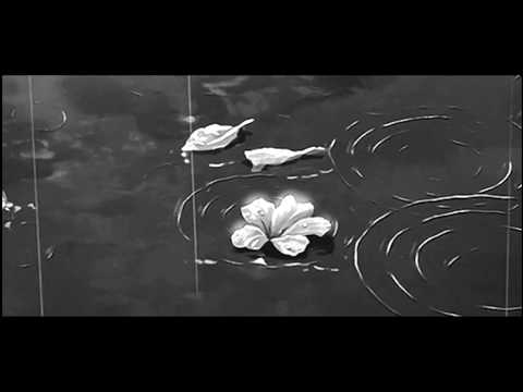 f l o w e r - DVD ft Trí Dũng (Cut Version) - TRay beat