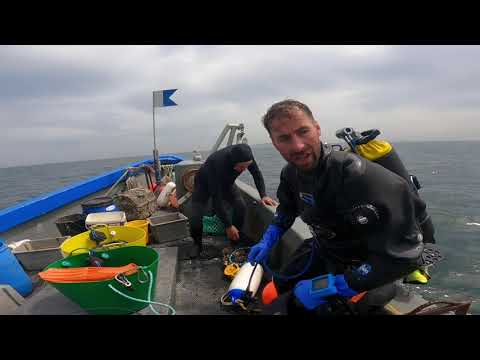 Scalloping on Herm and Guernsey's North coasts