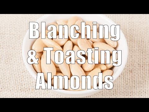 download lagu mp3 mp4 What To Do With Blanched Almonds, download lagu What To Do With Blanched Almonds gratis, unduh video klip What To Do With Blanched Almonds