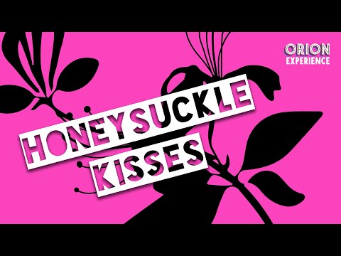 Honeysuckle Kisses ✨ The Orion Experience