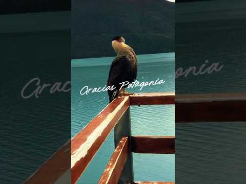 El Chaltén y El Calafate: El resumen de una aventura inolvidable #calafate #elchalten