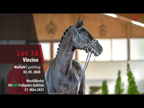 ONLIVE Frühjahrs-Auktion Lot 38 Vincino Wallach v. Vivino - Finest