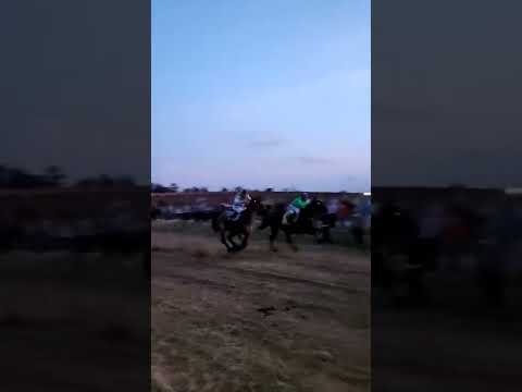 Carrera de Cabellos en Capilla de Cella, Canelones, Uruguay