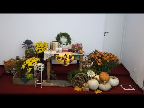 06.11.2016 - AM, Biserica Baptistă Harul - Târgu Mureș,