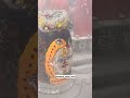 Ujjain Mahakal Aarti ️ Har Har Bum Bum Shankar Udar Song Mahakal Shorts Ujjainmahakal