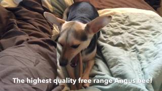 Wyldlife Pets Bully Sticks & Beef Tendons for Dogs Combo Pack