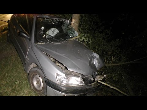 B 279/Lkr. Haßberge: Schutzengel fuhr mit - Gegen Baum geprallt und nur leicht verletzt 08.08.2015