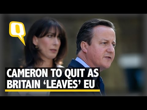 The Quint: David Cameron Offers to Step Down as Britain Votes to Exit EU