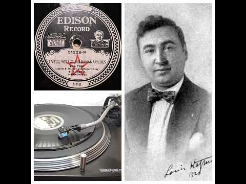 The Jazz-O-Harmonists (Louis Katzman): I‘ve got the ‘Yes! We have no bananas‘ blues, 03.08.1923