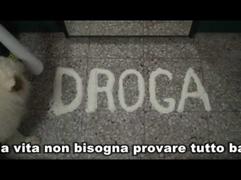 Cosa fare per non ottenere prostatite malati Massager della prostata paglia toro foto