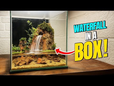 I Built a Stunning Paludarium with a Breathtaking Waterfall