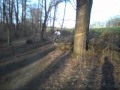 Garth Brook Fever Bmx Video