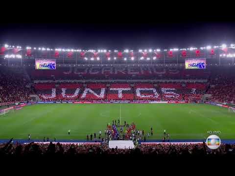 LIBERTADORES 2019 - Flamengo 2 x 0 Emelec . Melhores Momentos