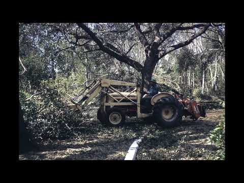 1965 September 9 * Hurricane Betsy Damages in NOLA * Pictures Only