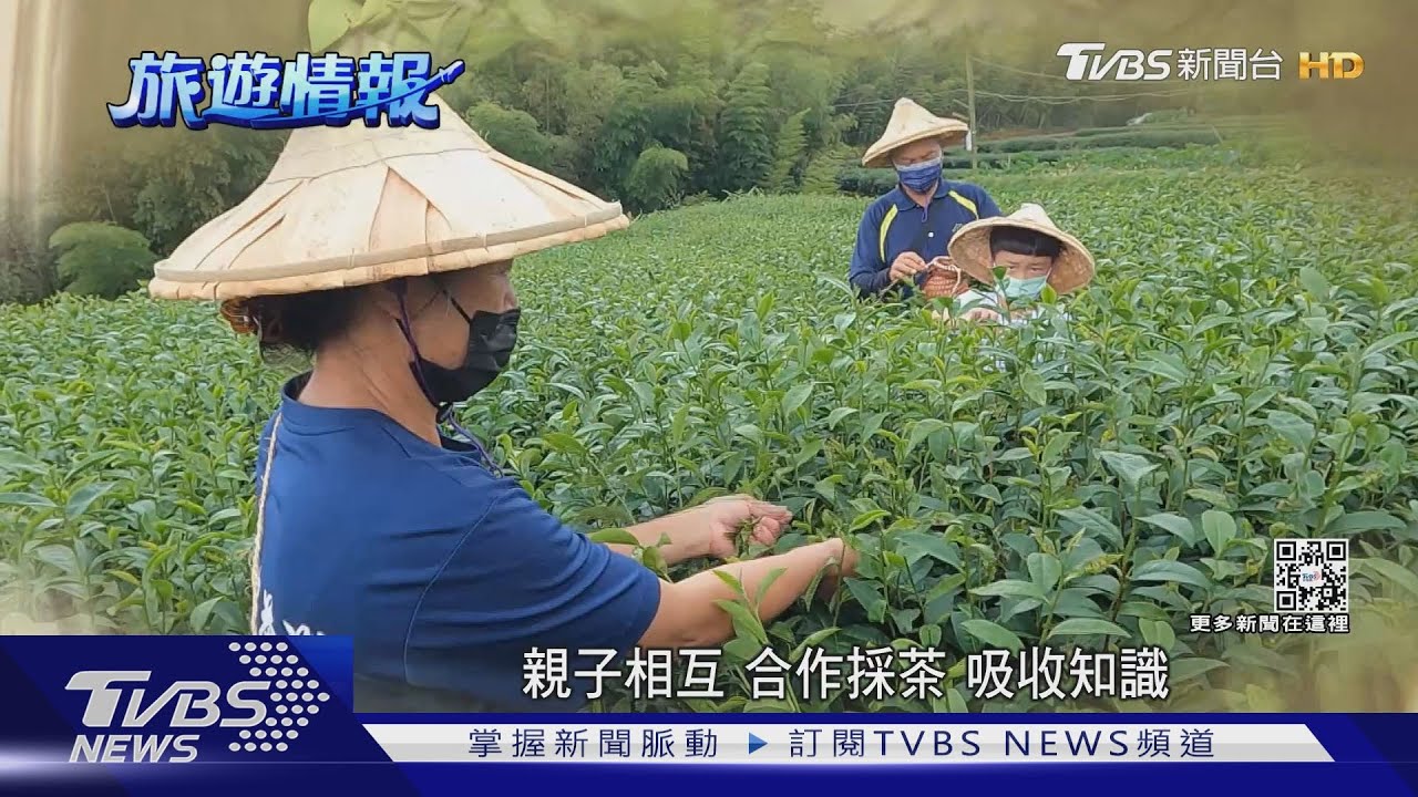 山上避暑去!戴上斗笠竹簍變身「採茶姑娘」