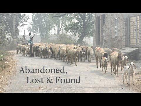 Abandoned, Lost & Found
