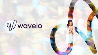 Wavelo Product video 2024