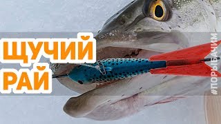 Ловля щуки на балансир по перволедью