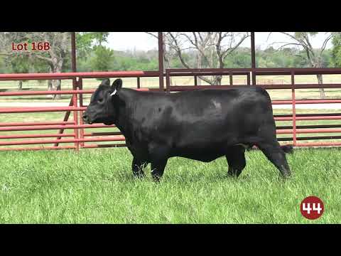 Lot 16B  222H 44Farms