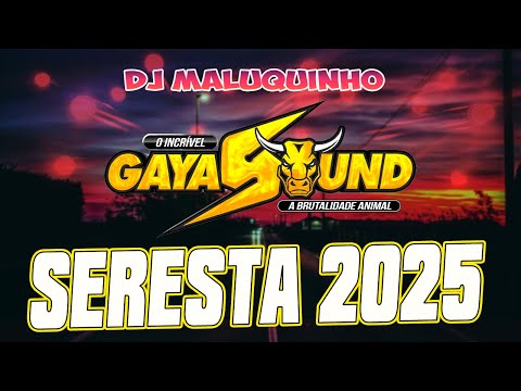 GAYA SOUND - SERESTA 2025 - DJ MALUQUINHO SÓ SUCESSO