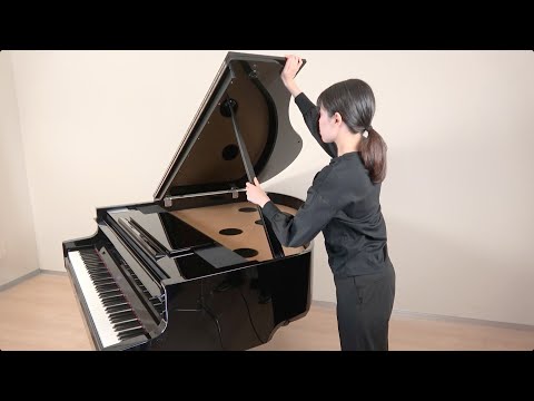 Zuhal Youtube Videos