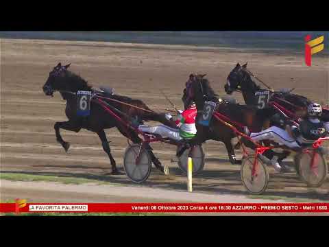 IV Corsa del 6 Ottobre 2023 - 3 Anni - Metri 1600