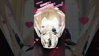 想婚了（1）-李柏宇＆張家榕114.10.19