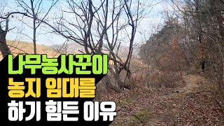 나무농사꾼이 농지 임대를 하기 힘든 이유 | 나무대장