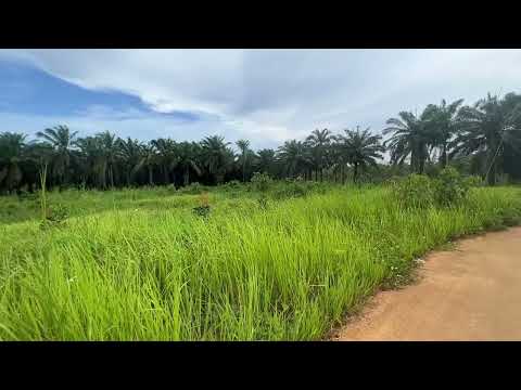 7 Rai of Flat Land with Wonderful Mountain View for Sale in Nong Thale, Krabi
