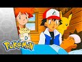 Sick Days POKÉMON FULL EPISODE 36 Season 4