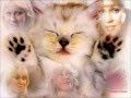 Agnetha Fältskog When You Really Loved Someone
