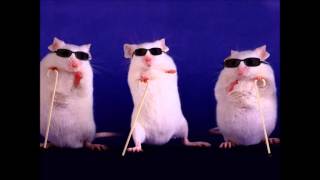 DISORDER 3 blind mice