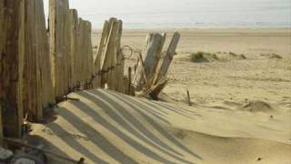 Fatboy Slim - Camber Sands