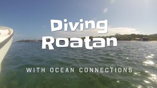 preview picture of video 'Diving Roatan 2015'