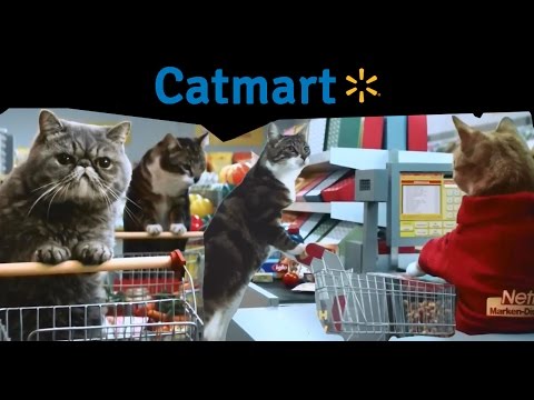 Cat Supermarket! (2016)
