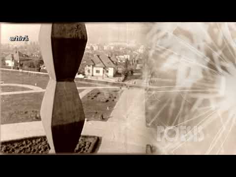 Poesis: Constantin Lupescu - Pasărea măiastră de George Popa (@Arhiva TVR)
