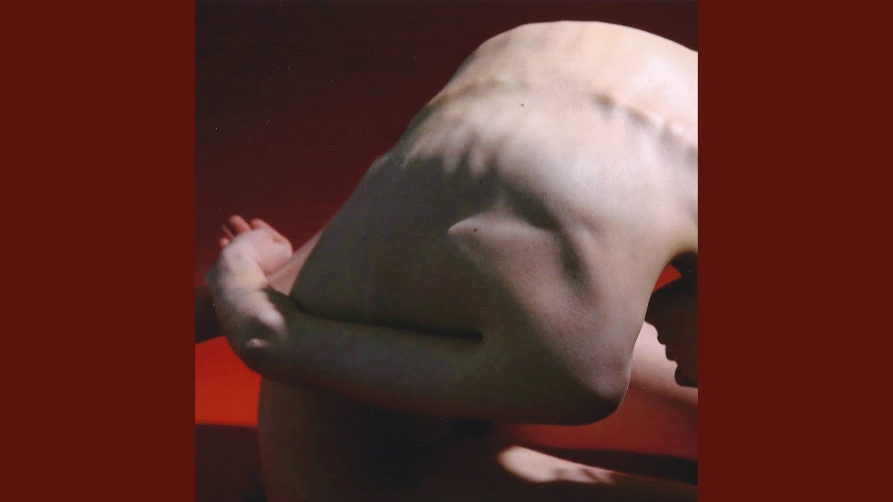 bodyimage - Flesh