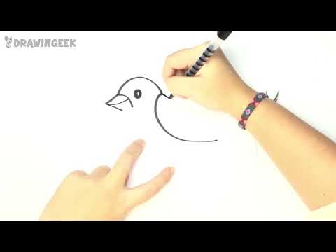 How to draw a Bird for kids - YouTube