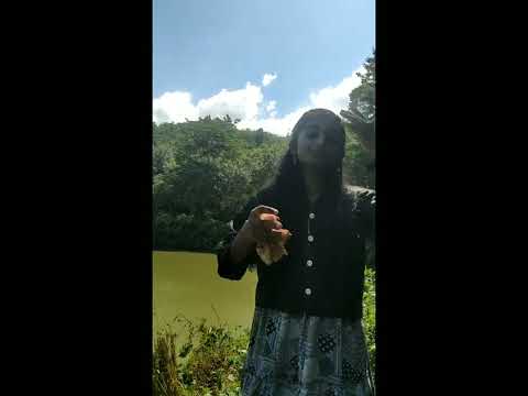 Field study (About Dam )