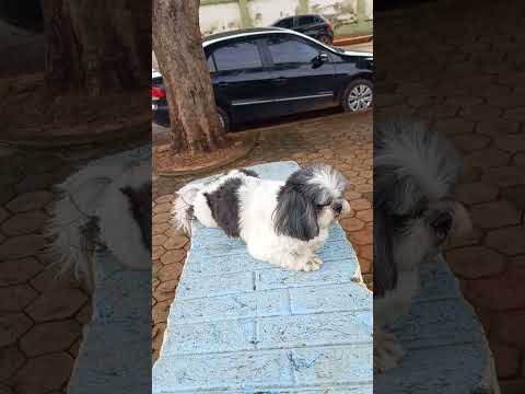 LUZ MINAS GERAIS 🙏 🙏