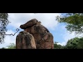 Safari Disney